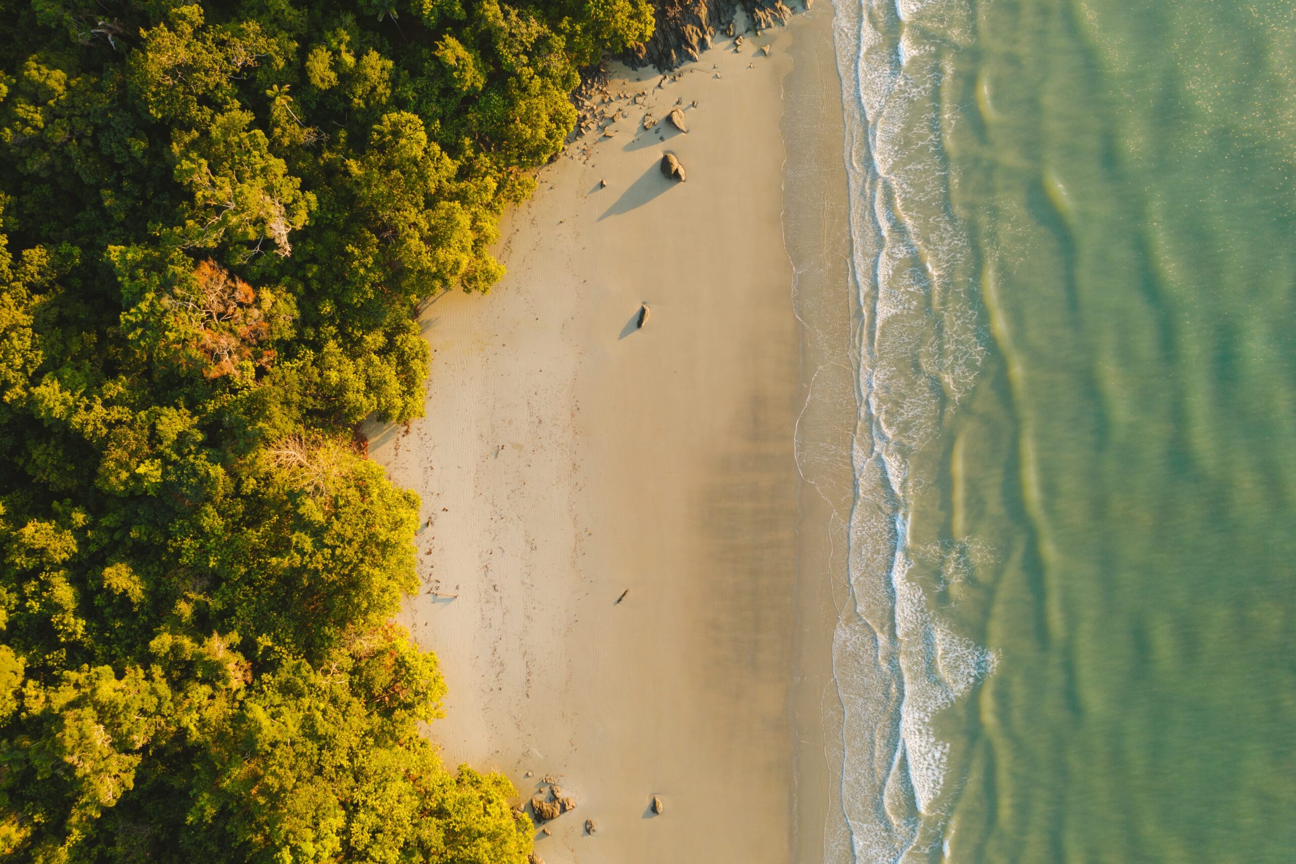 Cape Tribulation Camping